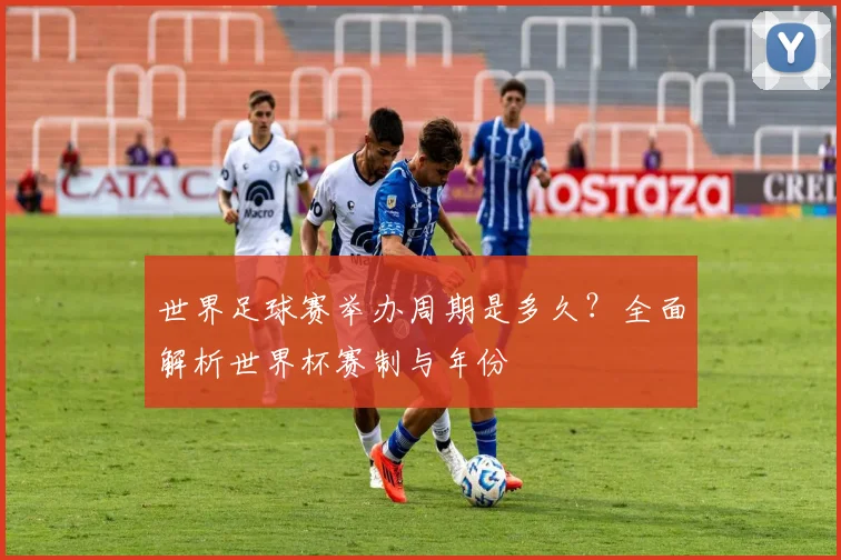 世界足球赛举办周期是多久？全面解析世界杯赛制与年份